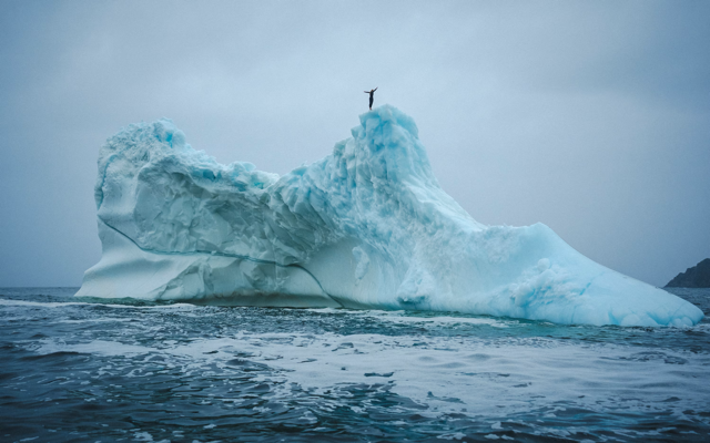 Cliff diver Molly Carson makes history, becomes first woman to dive off iceberg — WPBF Sports Palm Beach, College Station Sports news