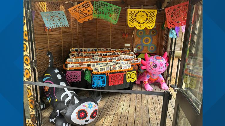 Cameron Park Zoo honoring past animals with ofrenda — College Station Community news