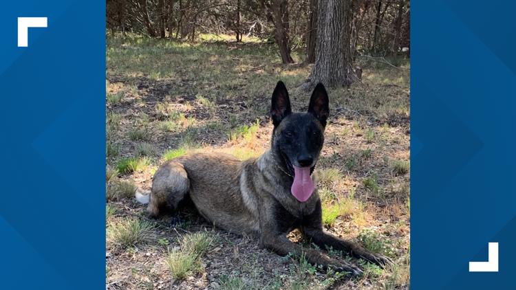 Killeen PD hosts retirement event for K9 — KCEN (Central Texas)